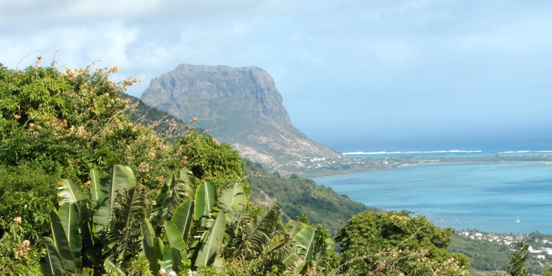 mauritius nature