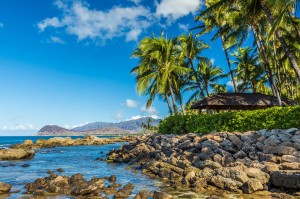 things to do in hawaii