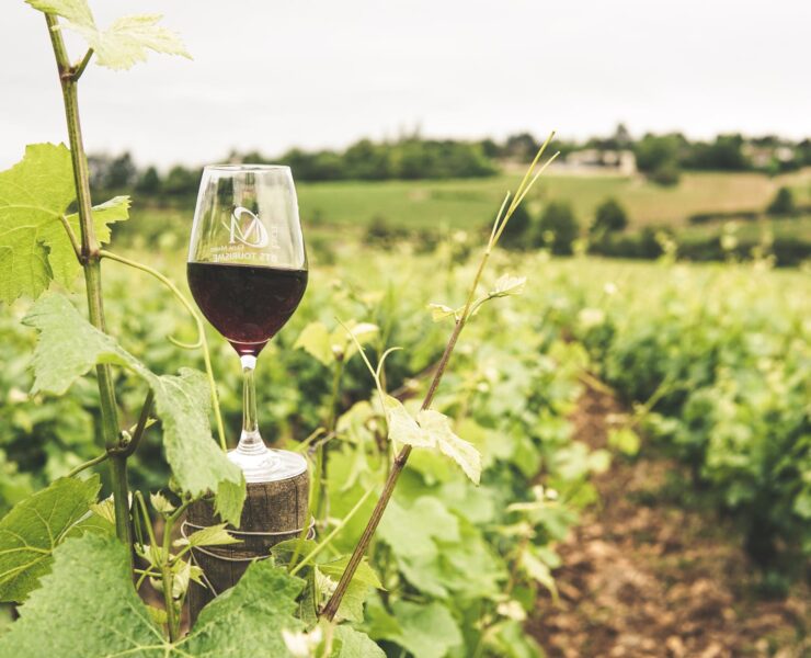 glass filled with wine